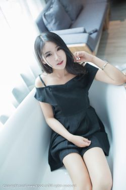 完美前传